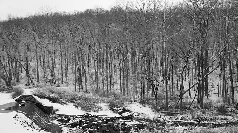 Winter Landscape
