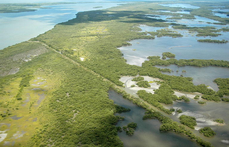 Everglades National Park Homestead Canal