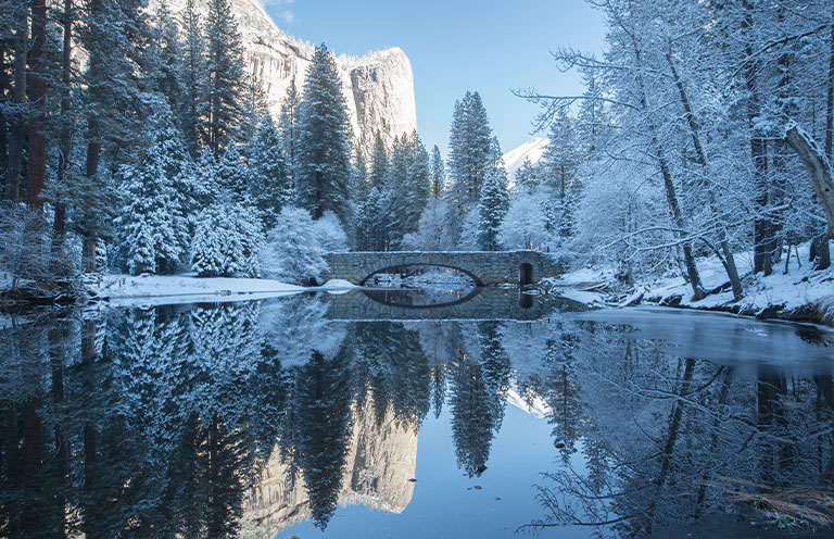 winter reflection of the trees in water at yosemite national park