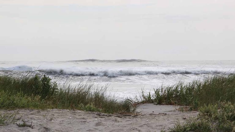 Assateague Island National Seashore