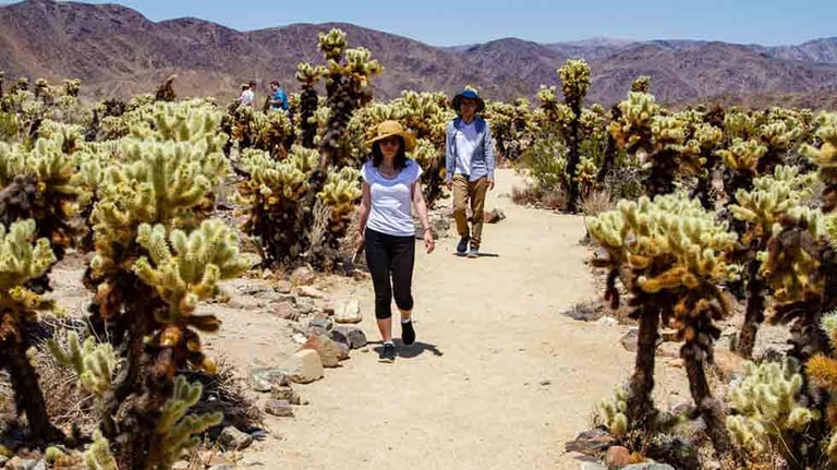 Joshua Tree National Park