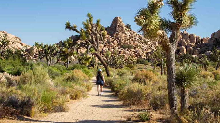 Joshua Tree National Park