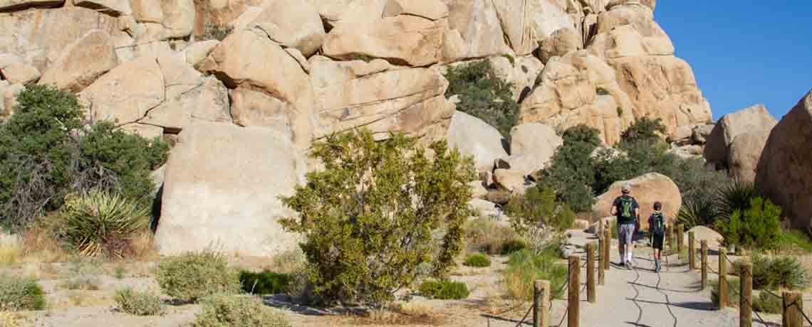 Joshua Tree