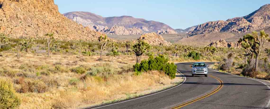 Joshua Tree