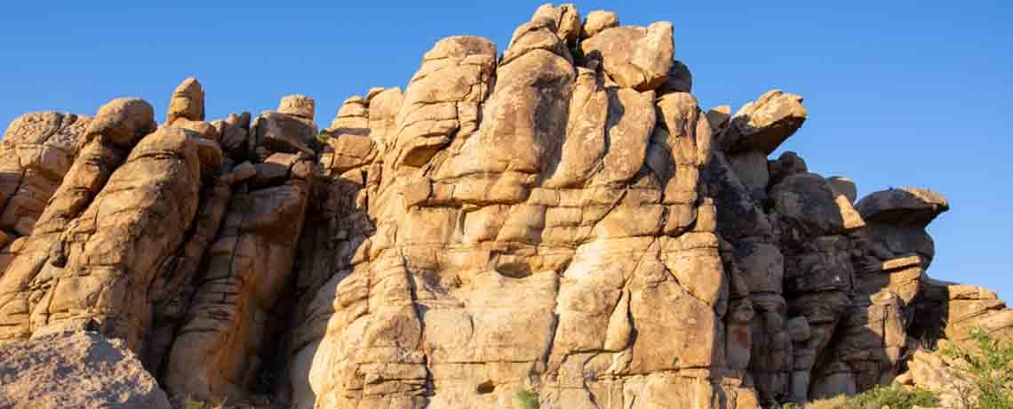 Joshua Tree