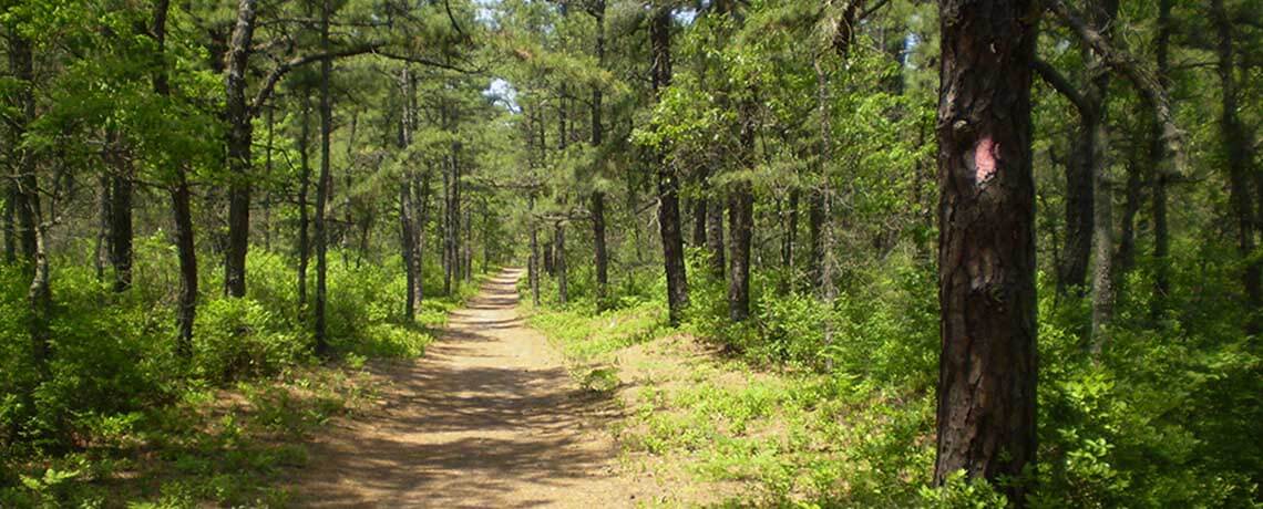 BATONA Trail Joel Mott