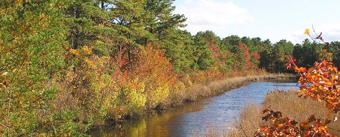 Franklin Parker Preserve