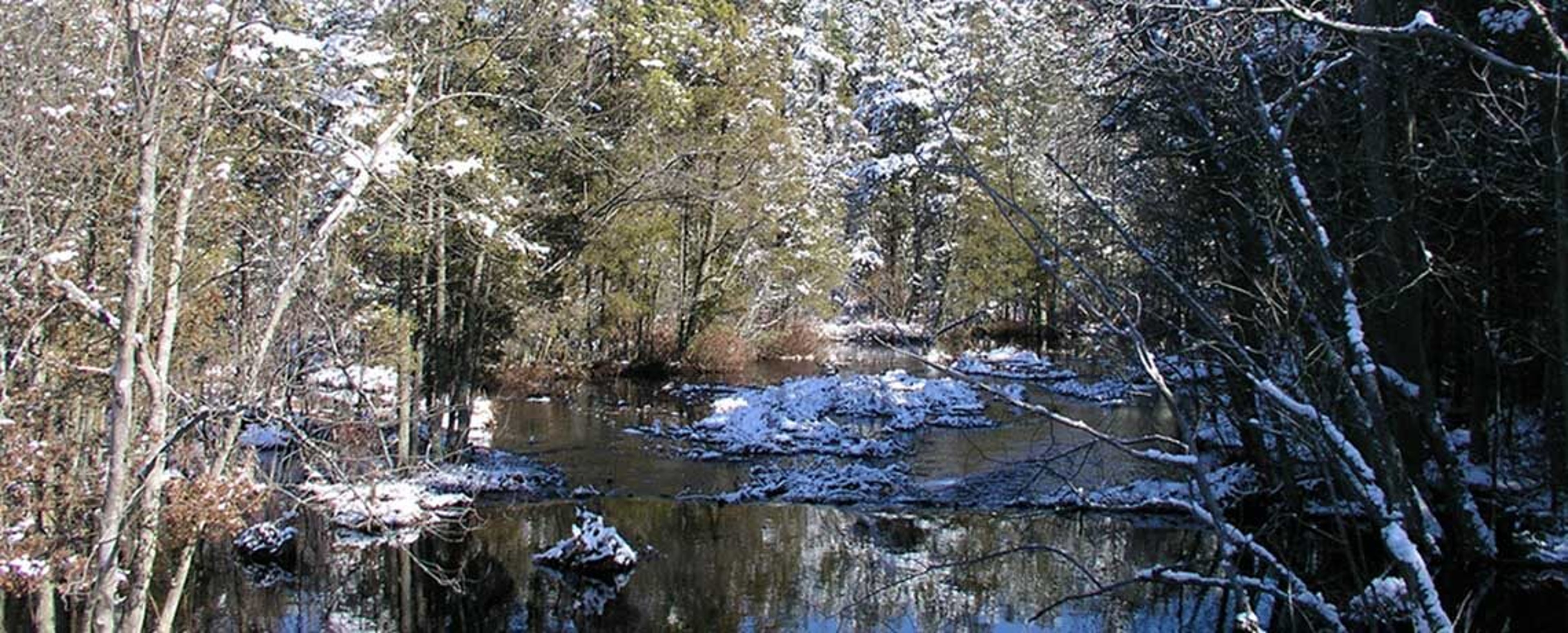 Wading_River3_JMM