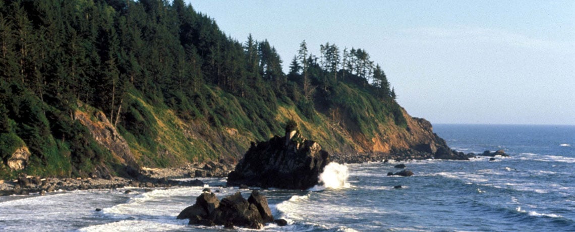 Coast in Redwood parks