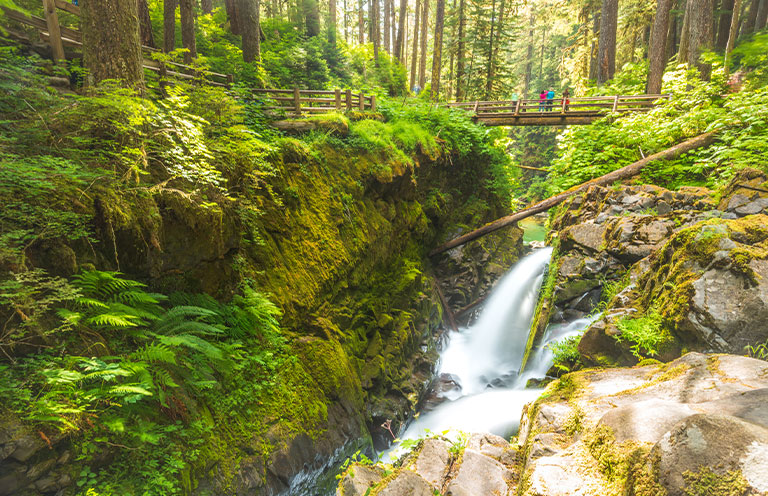 Waterfall in Mount Olympia National Park