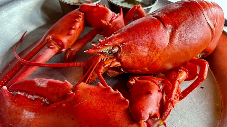 Lobster at Abel Lobster in Maine