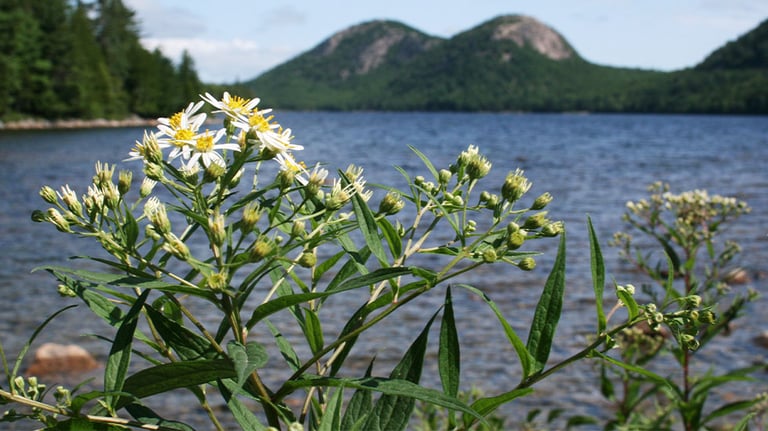 Jordan Pond
