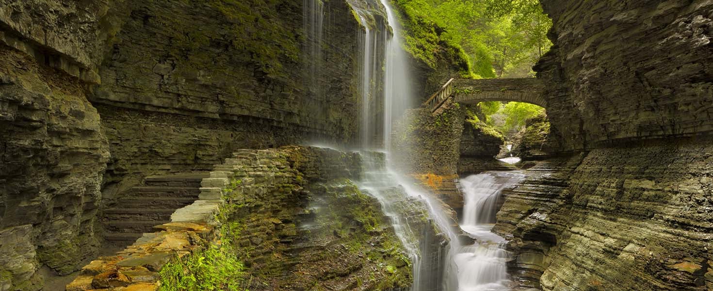Hero_Finger Lakes