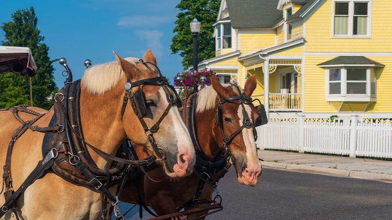 Horses pulling a carriage on street in Mackinac Island