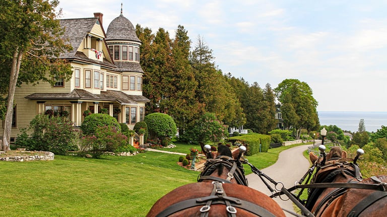 view from horses pulling carriage