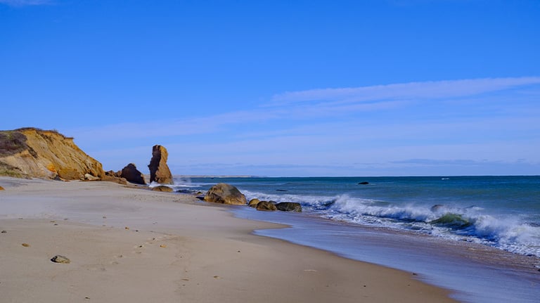 Lucy Vincent Beach Martha's Vineyard