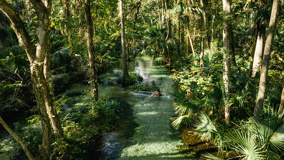 Woman in a see through kayak in Florida nature park