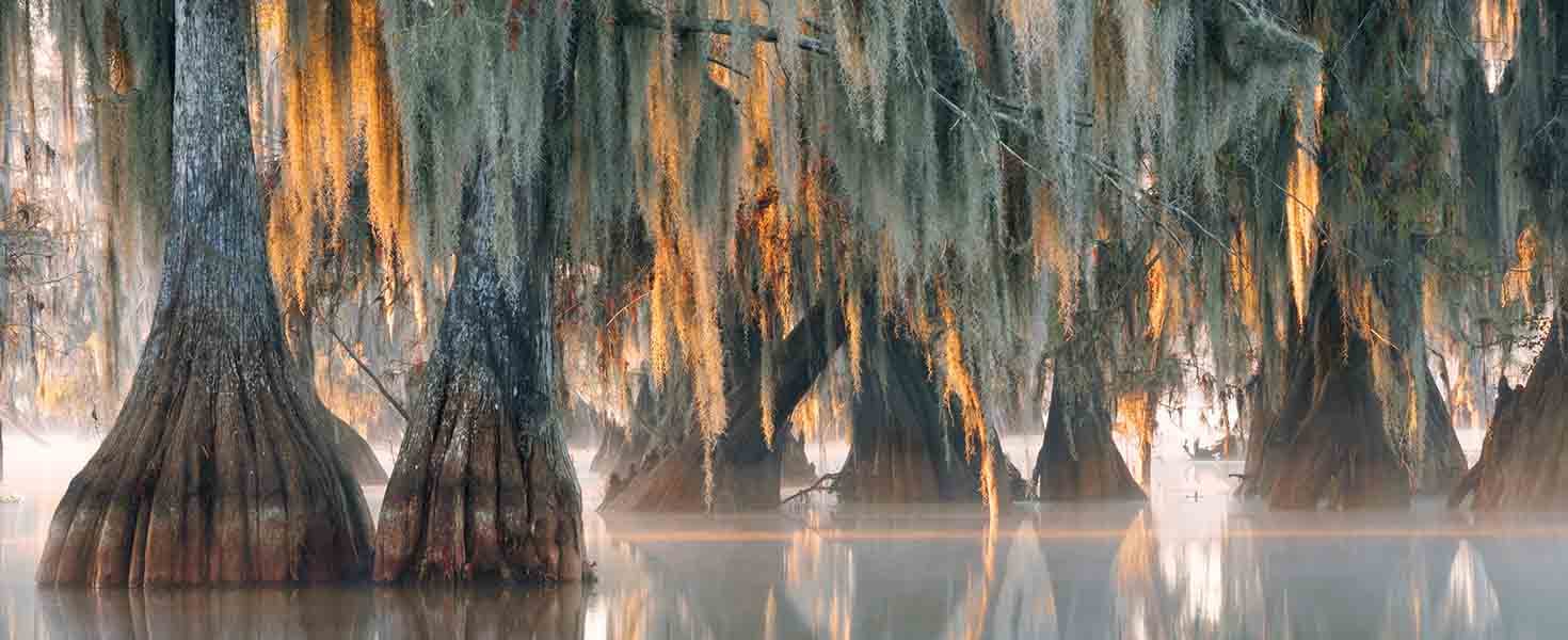 Activities You Have To Try When In Louisiana