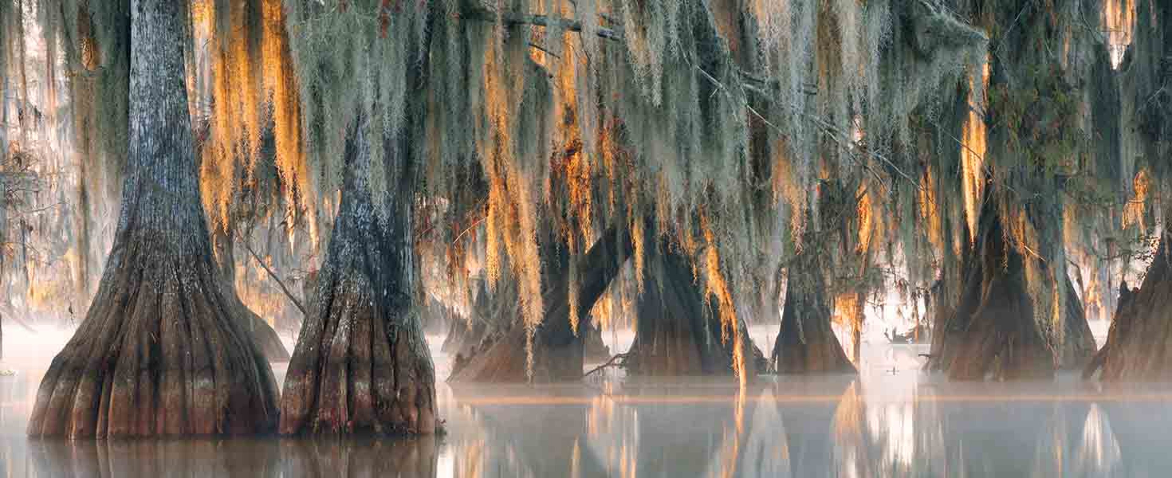 Activities You Have To Try When In Louisiana