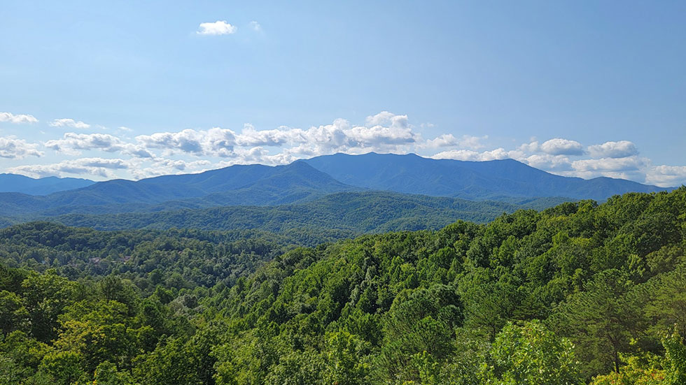 View From Cabin