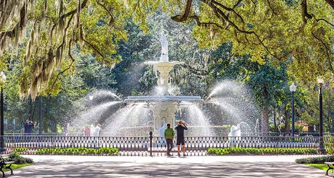savannah