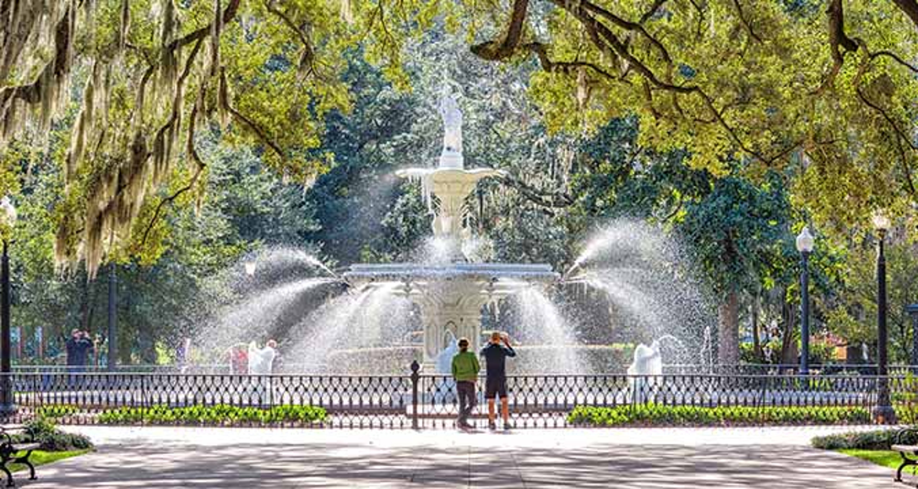 savannah