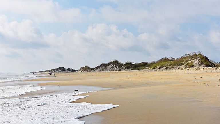 B2_CoquinaBeach_CapeHatterasNationalSeashore_OuterBanksVisitorsBureau