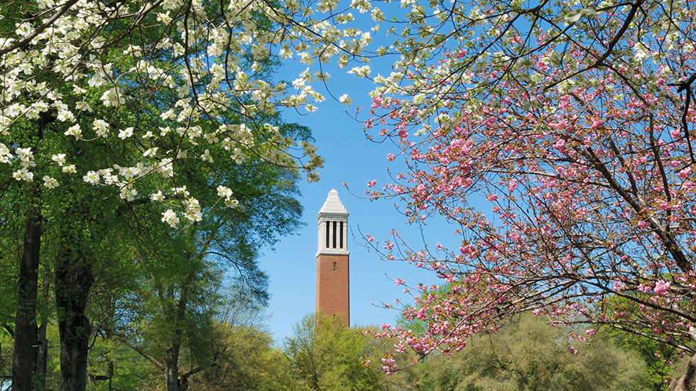 Tuscaloosa Alabama