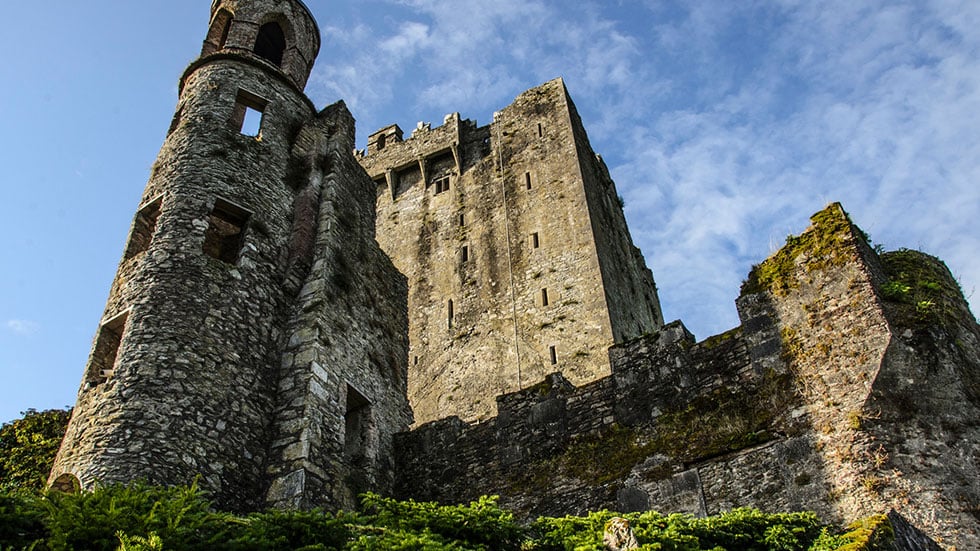 Blarney NoemiC