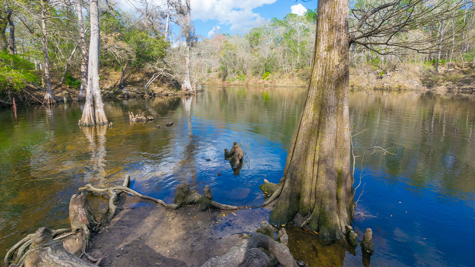 madison blue springs