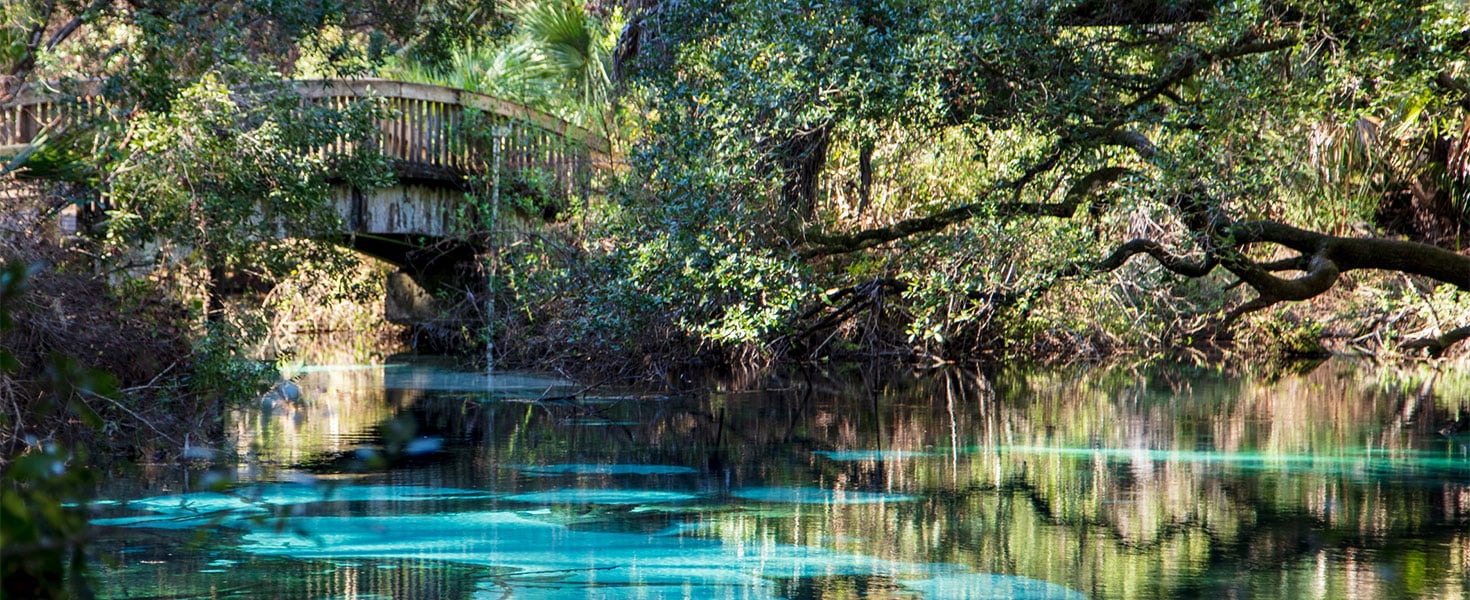 juniper springs natural swimming hole