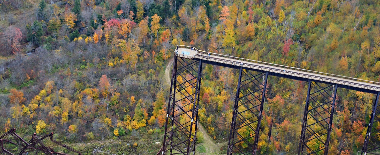 Discover Fall Foliage