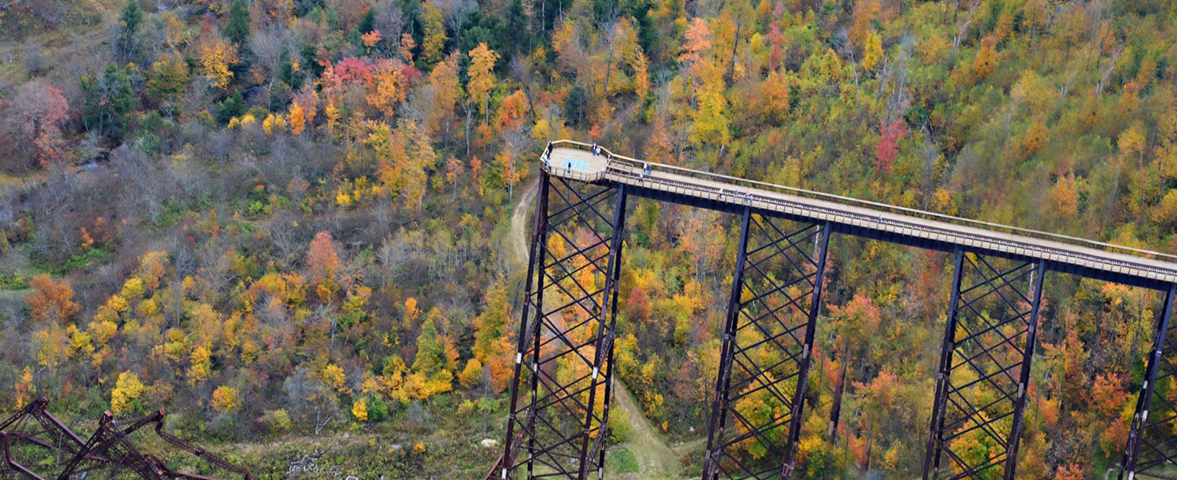 Discover Fall Foliage
