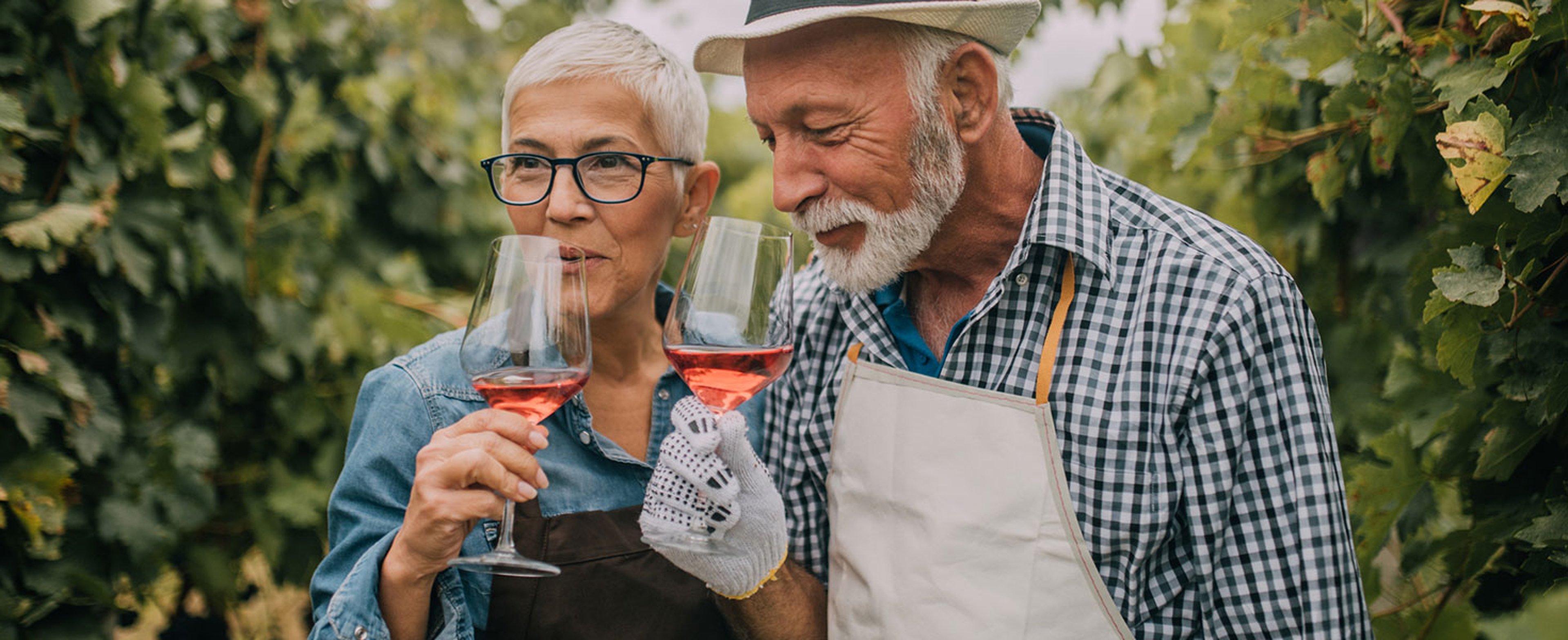 Wine tasting in a vinyard