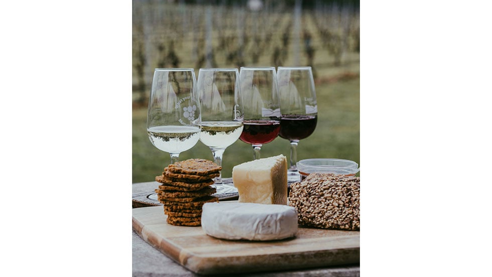 Wine and Cheese