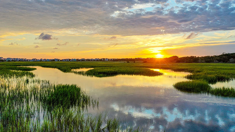 Scenic view of the Golden Isles at sunset in the American state of Georgia; Credit: Wirestock