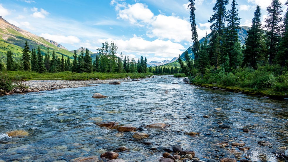 Alpine stream high up in Talkeetna, Alaska mountains