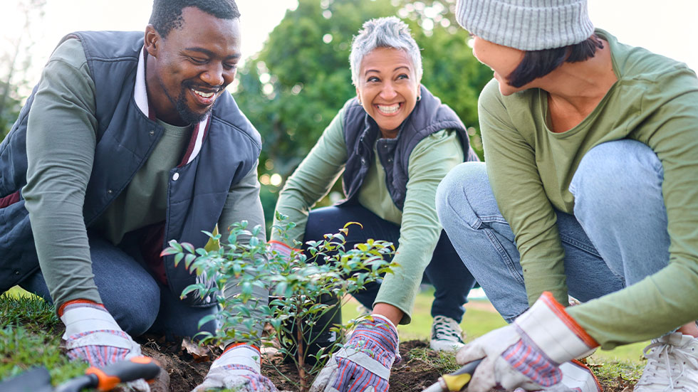 people planting a tree