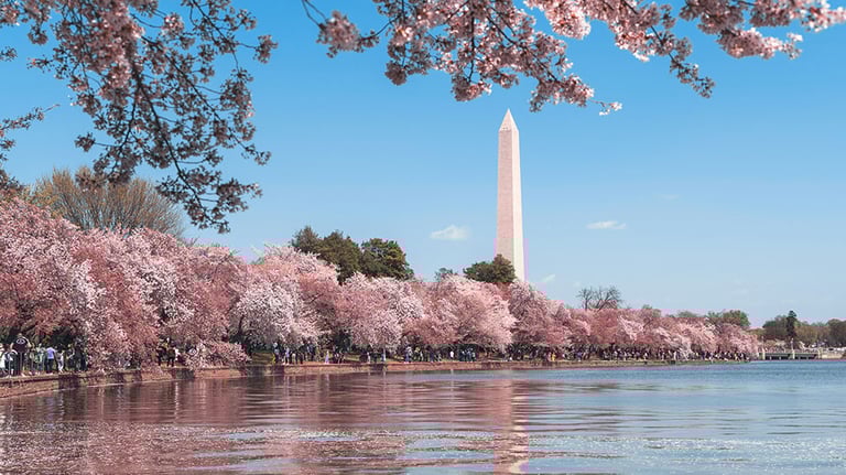 Washington D.C., DC, USA Credit: Andy He/ Courtesy of Unsplash