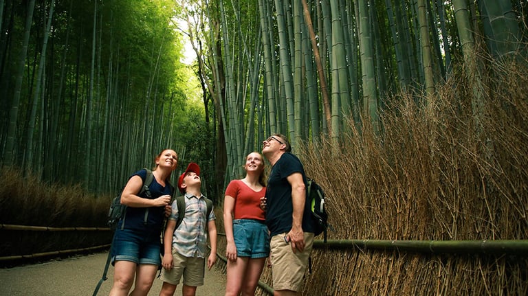 Aaustralian family is exploring ARASHIYAMA in Kyoto Japan. Credit: kyonntra