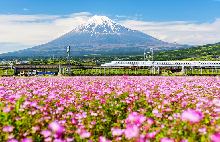 Shinkanzen run pass Mt. Fuji