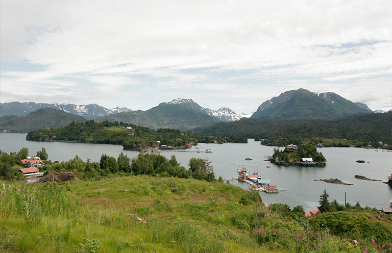 Halibut Cove