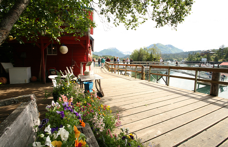 Halibut Cove