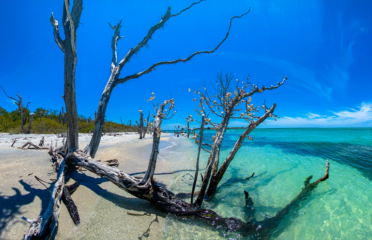 Cayo Costa State Park on North Captiva Island