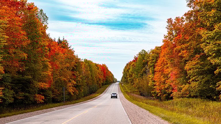 Car driving along an asphalt road through a mesmerizing forest in fall colors, autumn foliage by Baitang Ning1/Wirestock Creators