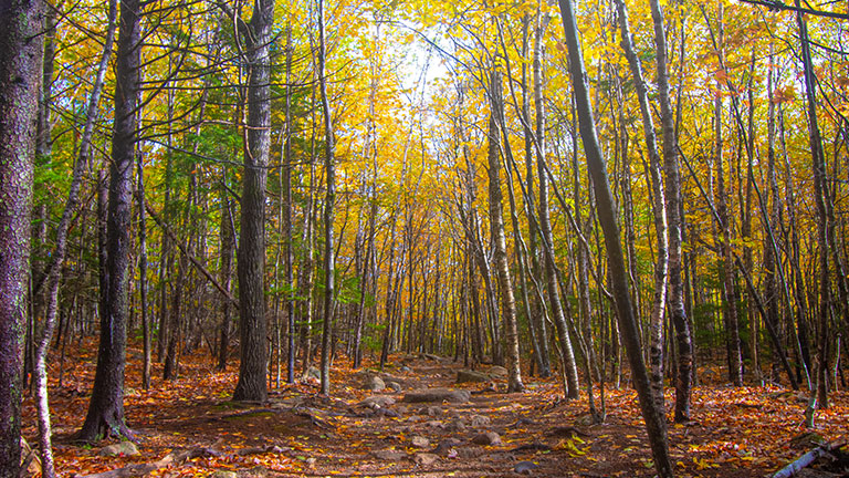 Green Mountains, Vermont; photo by Douglas Rissing /istock.com