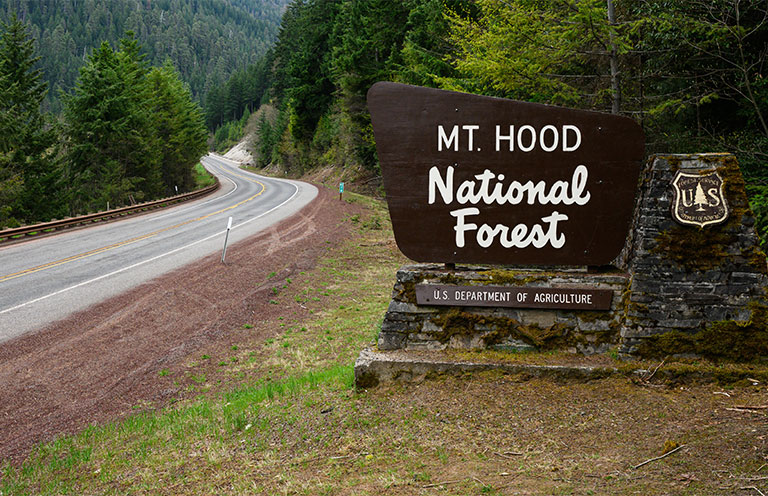 Hood National Forest sign