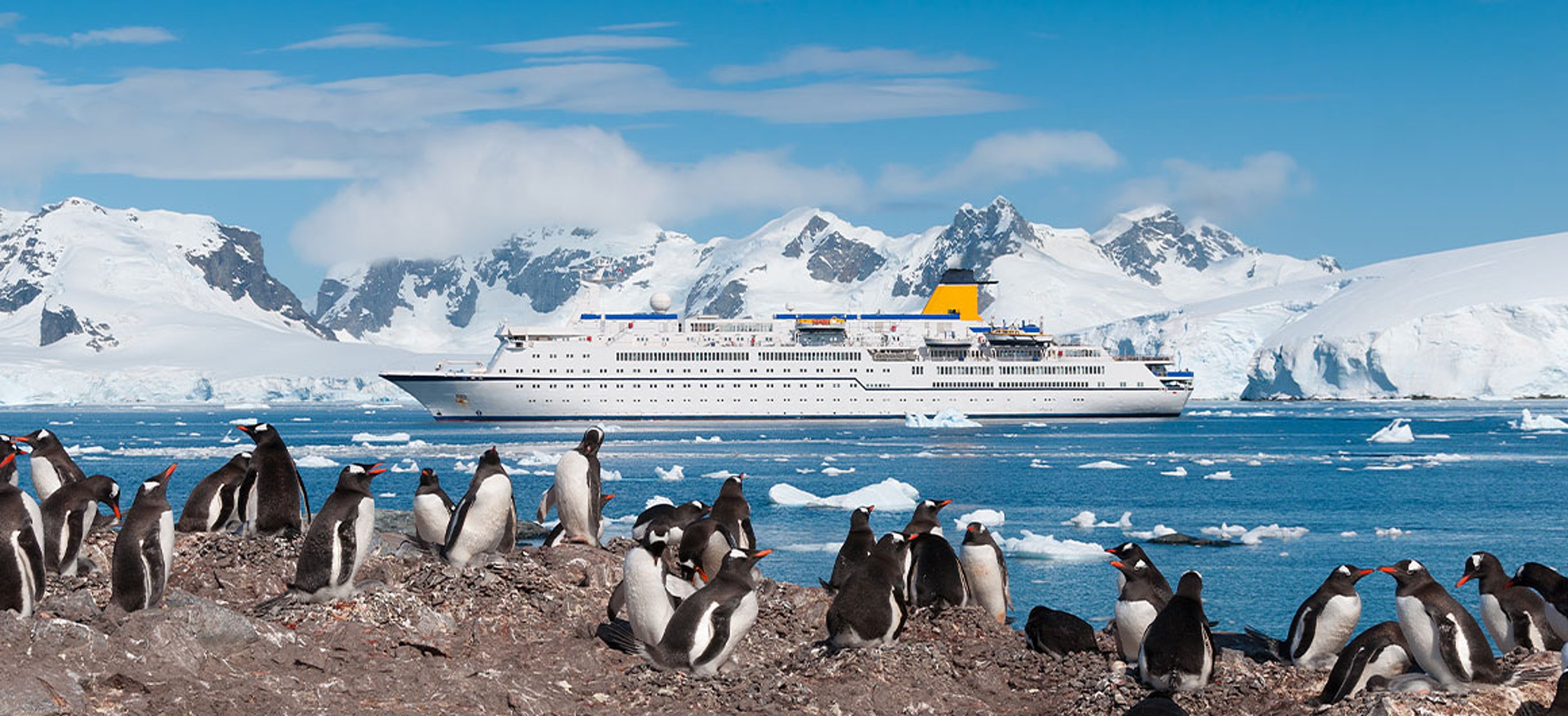 Antarctica penguins and cruise ship