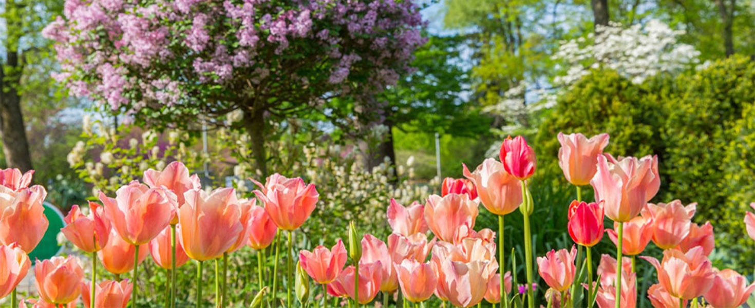 The Garden at Newfields