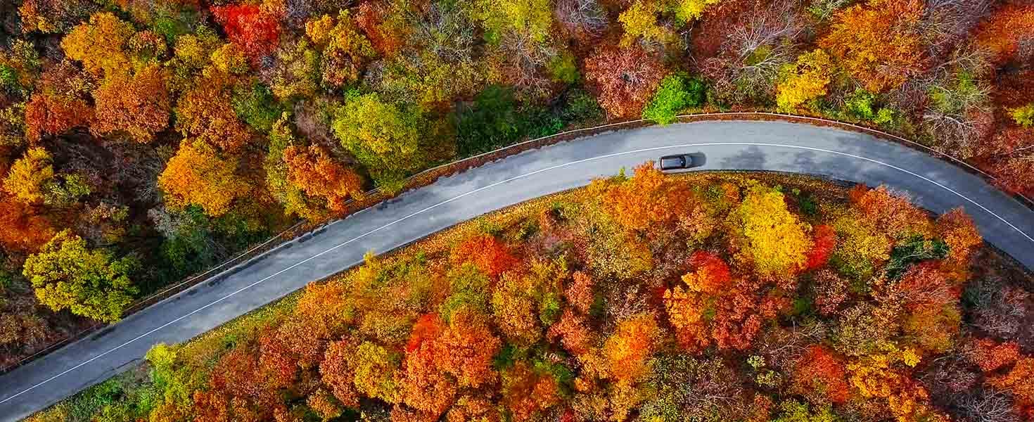 Fall Roads